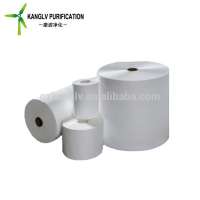 Hot sale air ventilation filter material, hepa air filter paper roll for the car